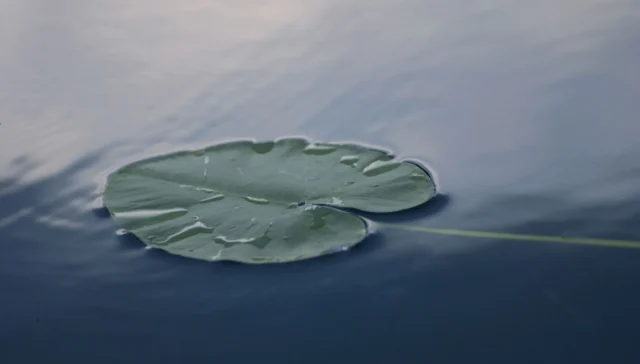 What Is The Serenity Prayer?